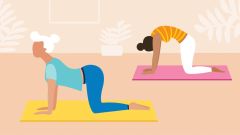 Hands Spine Back Cat Chest Belly