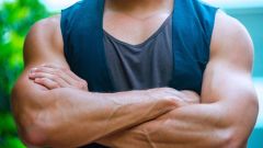 Forearm Jeff Nippard Arms Exercises Forearms Journal