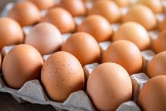 Protein G Plant 85 G Grams Cup