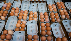 Cholesterol Eggs Saturated Fat Fat Ldl Jon Buckley