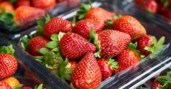 Strawberries Many Strawberries Grams Fruits Effects Sugar