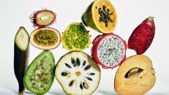 Fiber Liebling Cholesterol Gut Blood Sugar