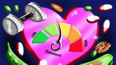 Cholesterol Dr Foster Health Diet Liver Levels