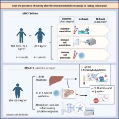 People Fasting Dr Islam Obesity Metabolism Research