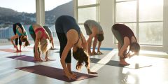 Yoga Class Cheung Practice Students People
