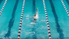 Activity People Risk Study Physical Activity Exercise