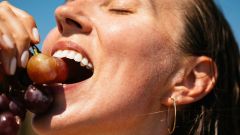 Fodmap Foods Low Fodmap Monash University Diet Dieras