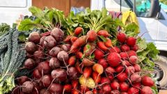 Root Onions Vegetables Blood Potato Sweet Potato