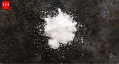 Salt Bull Bull Sodium Foods Intake