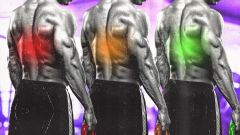 Dr Hershfield Pain Dr Corbett Day Muscles Side