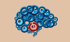 Brain Foods Food Memory Blood Focus