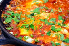 Protein Grams Dr Begdache Meal 40 Grams Age