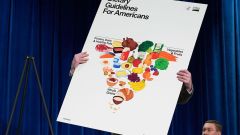 Guidelines Protein Health Foods Gut Grains