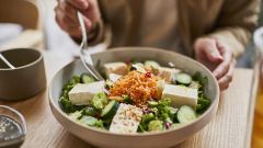 Tofu Soy Protein People Cancer Greeley