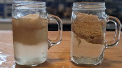 Water Test Foods Bread Water Test Grains