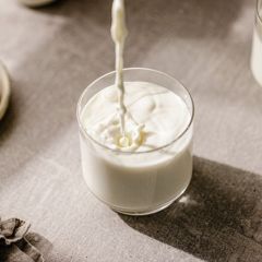 Milk A2 A2 Milk Lactose Protein A1