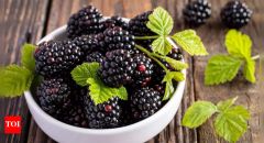 Blackberries Fibre Health Antioxidants Blood Vitamin