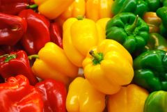 Peppers Bell Peppers Bell Support Immune Support Compounds
