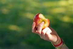 Apples Apple Sleep Fiber Allergy Time