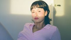 Gut Health Microbiome Bacteria Food Stress