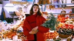 Protein Plant Based Verne Plant Soy Diet