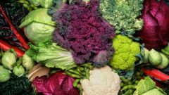 Sulforaphane Vegetables Enzyme Broccoli Glucoraphanin Compound