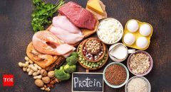 Protein Intake Diet Amino Acids Proteins