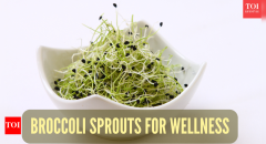 Broccoli Sprouts Cancer Broccoli Sprouts Cells Sulforaphane