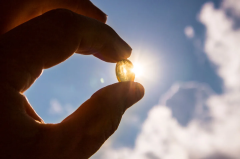 Vitamin D3 D2 D Bbc Science Levels
