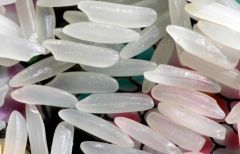 Blood Sugar Starch Foods Retrogradation Calories