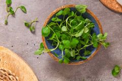 Watercress Vitamin Blood Mg C Cancer