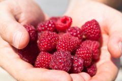 Raspberries Gut Sugar Fiber Health Diet