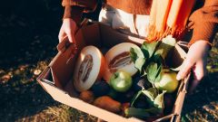 Kiwis Sleep Kiwi Cortisol Wellness Editor Fiber