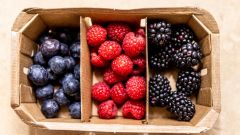 Cancer Risk Study Breast Tea Soy