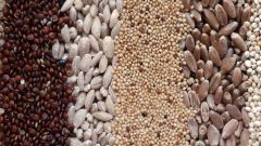 Grains Whole Grains Grain Parts Brown Rice Wholegrainscouncil Org Sheah Rarback